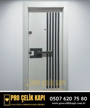 Bakırköy Çelik Kapı - Plus 3